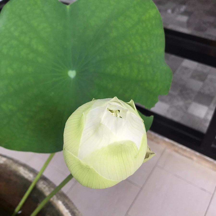צ'יאנג מאי The Wishes Hotel At Chiangmai מראה חיצוני תמונה